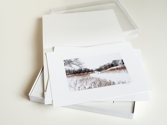 Book and Print Edition (contents)