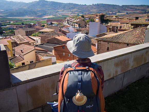 Day 8: Logroño to Nájera (Ventosa)