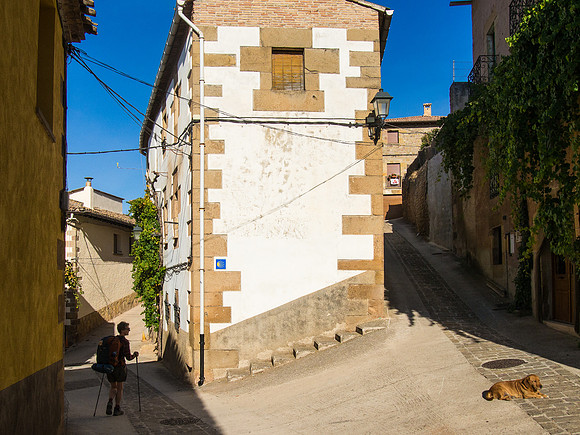 Day 5: Puenta la Reina to Estella (Cirauqui)