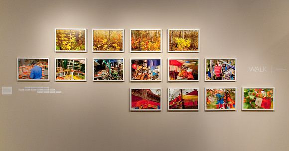Walk: Photographs by David Firman, Martha Street Studio