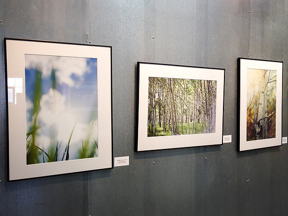 Flash Photo Festival on Foot