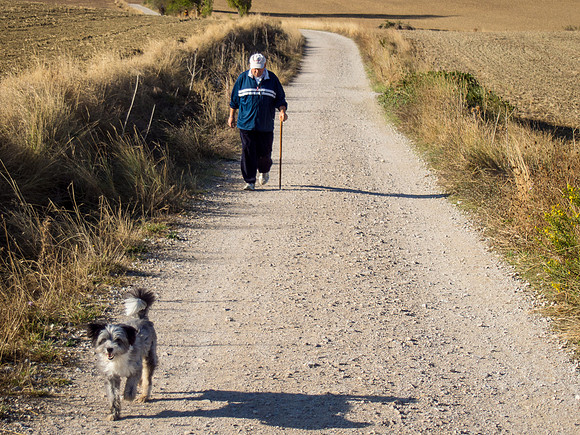 Day 4: Pamplona to Puenta La Reina