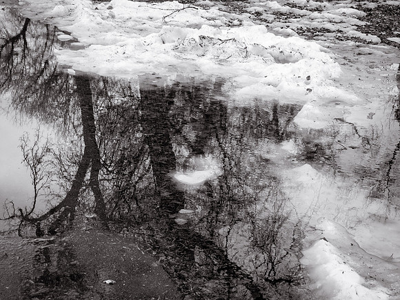 Day 12: Leo Mol Garden, Winnipeg
