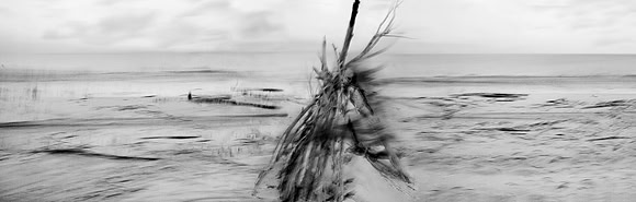 Driftwood Pyre