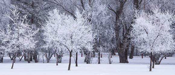 Assiniboine Park, Winnipeg