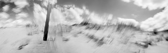 Trail Through the Dunes