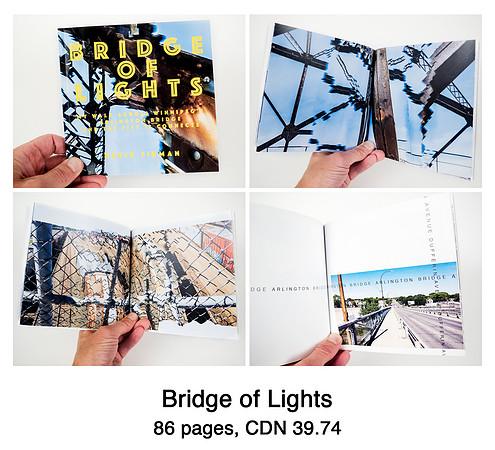 Bridge of Lights, 86 pages, CDN $39.74