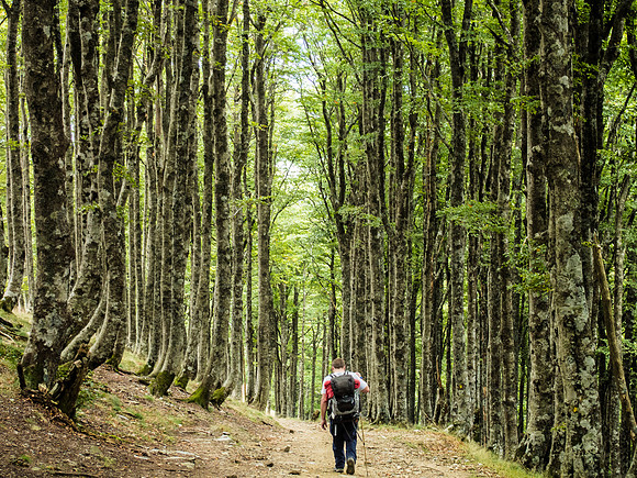 Day 1: St. Jean Pied de Port to Roncesvalles