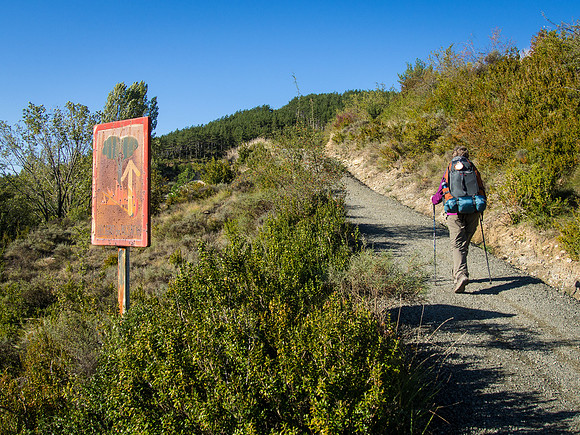 Day 3: Larrasoana to Pamplona