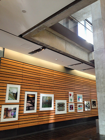 Flash Photo Festival on Foot
