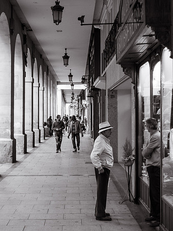 Day 7: Los Arcos to Logroño (Logroño)
