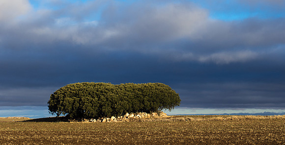 Day 14: Hornillos del Camino to Castrojeriz