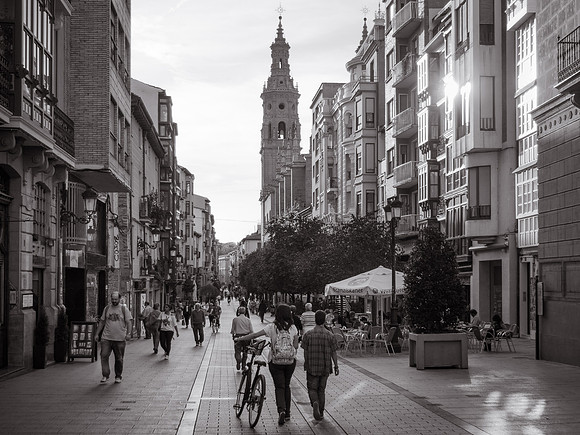 Day 7: Los Arcos to Logroño (Logroño)
