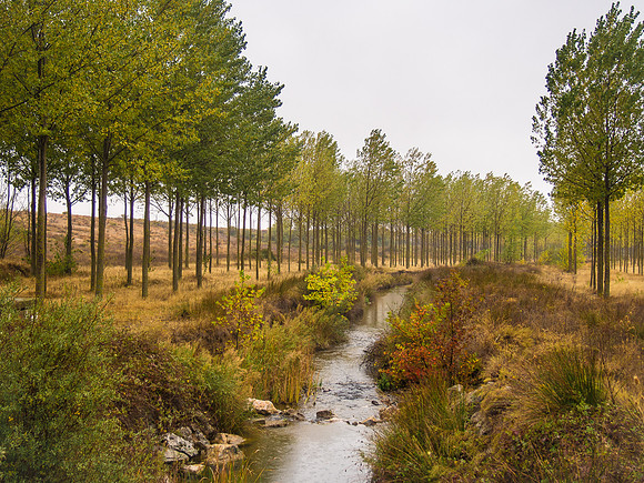 Day 19: El Burgo Ranero to Mansilla de las Mulas