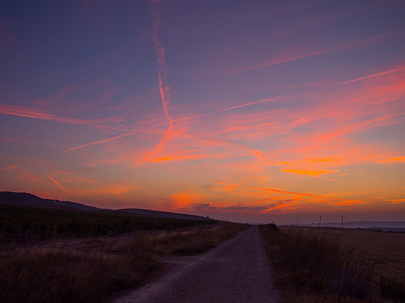 Day 7: Los Arcos to Logroño (Los Arcos)