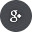 14_google+