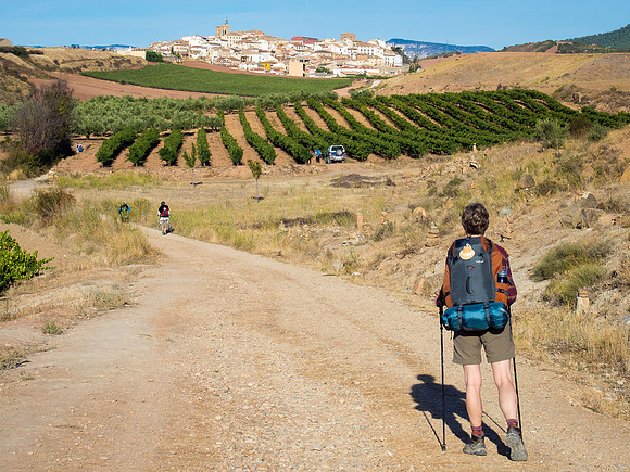 Day 5: Puenta la Reina to Estella