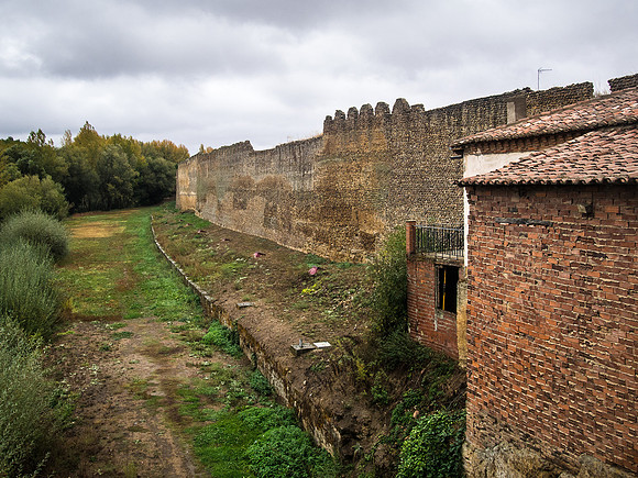 Day 19: El Burgo Ranero to Mansilla de las Mulas (Mansilla)