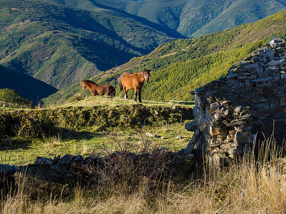 Day 24: Rabanal del Camino to Molinaseca