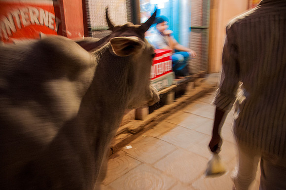 Varanasi-0819