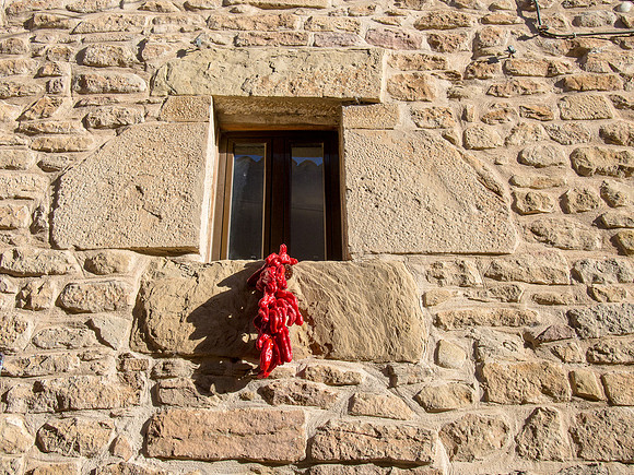 Day 5: Puenta la Reina to Estella