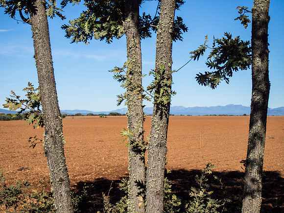 Day 22: San Martín del Camino to Astorga