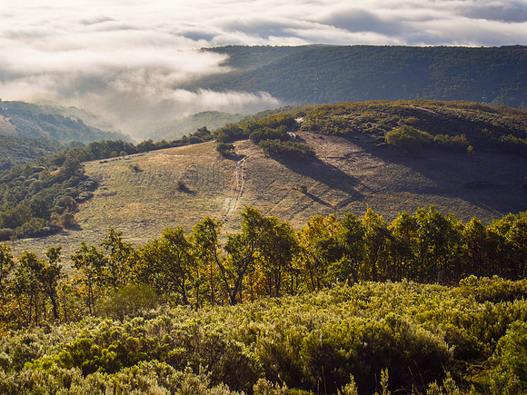 Day 24: Rabanal del Camino to Molinaseca
