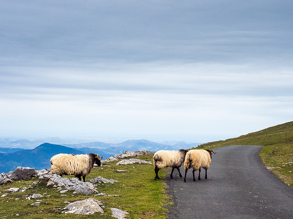 Day 1: St. Jean Pied de Port to Roncesvalles