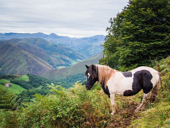 Day 1: St. Jean Pied de Port to Roncesvalles