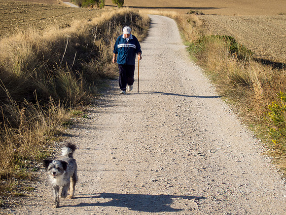Day 4: Pamplona to Puenta La Reina