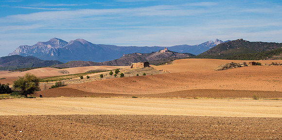 Day 6: Estella to Los Arcos