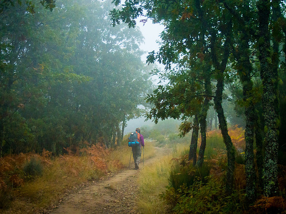 Day 24: Rabanal del Camino to Molinaseca