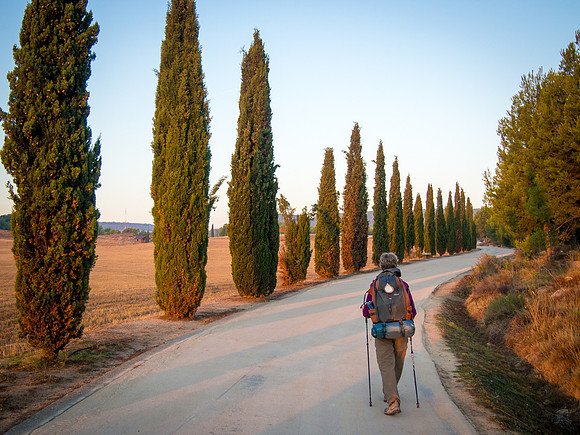 Day 8: Logroño to Nájera