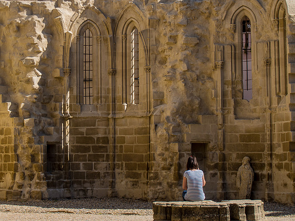 Day 7: Los Arcos to Logroño (Viana)